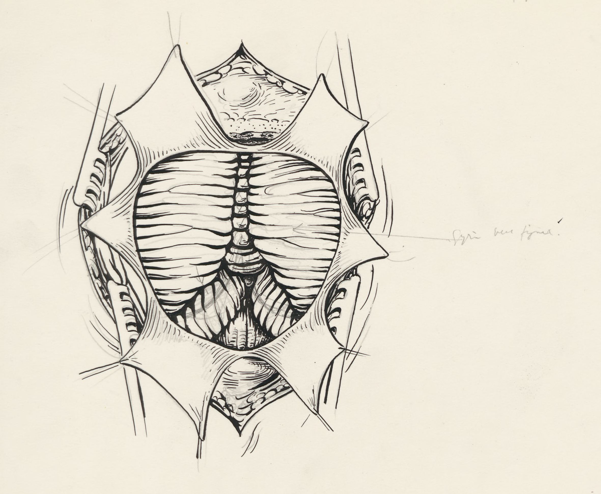Neurosurgical Procedures
