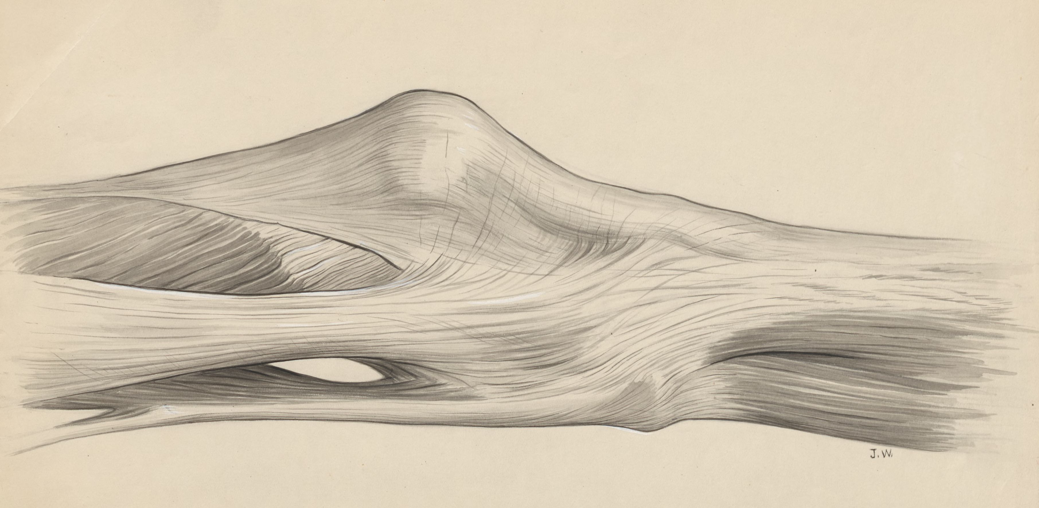 Knee joint