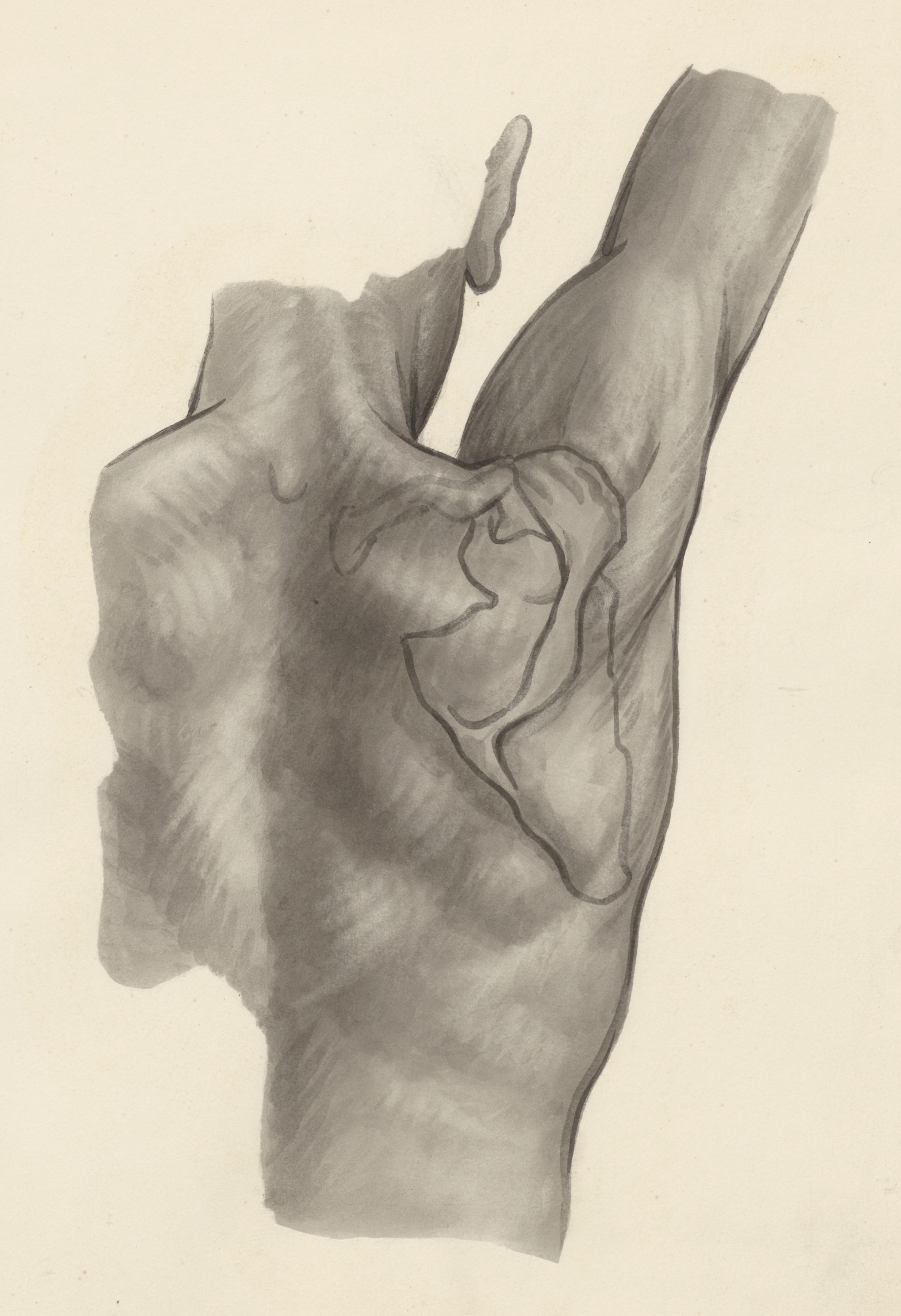 Shoulder joint