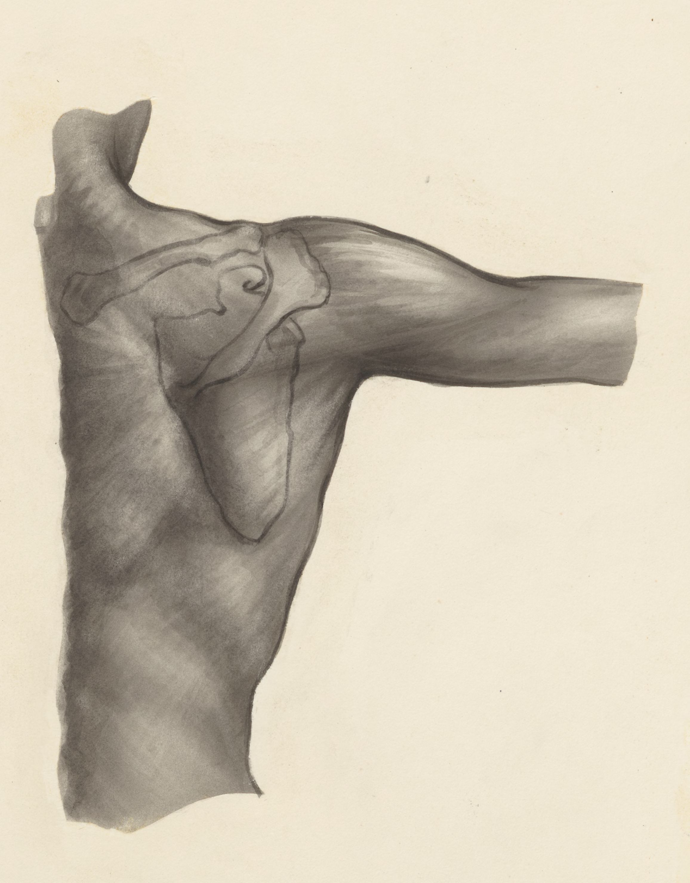 Shoulder joint