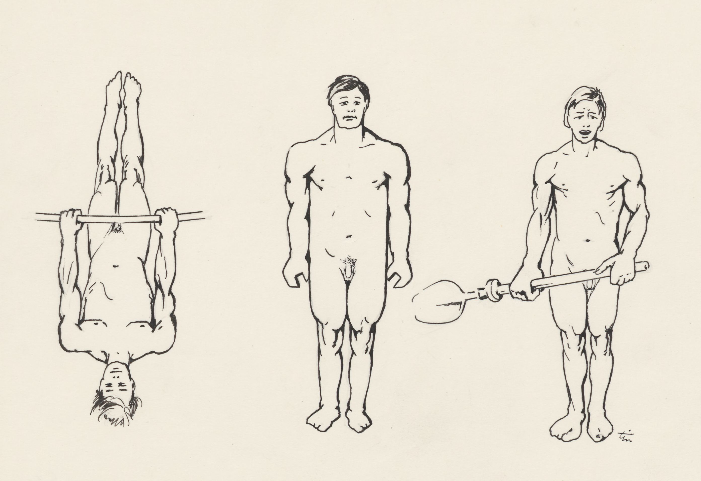 Three different physique types
