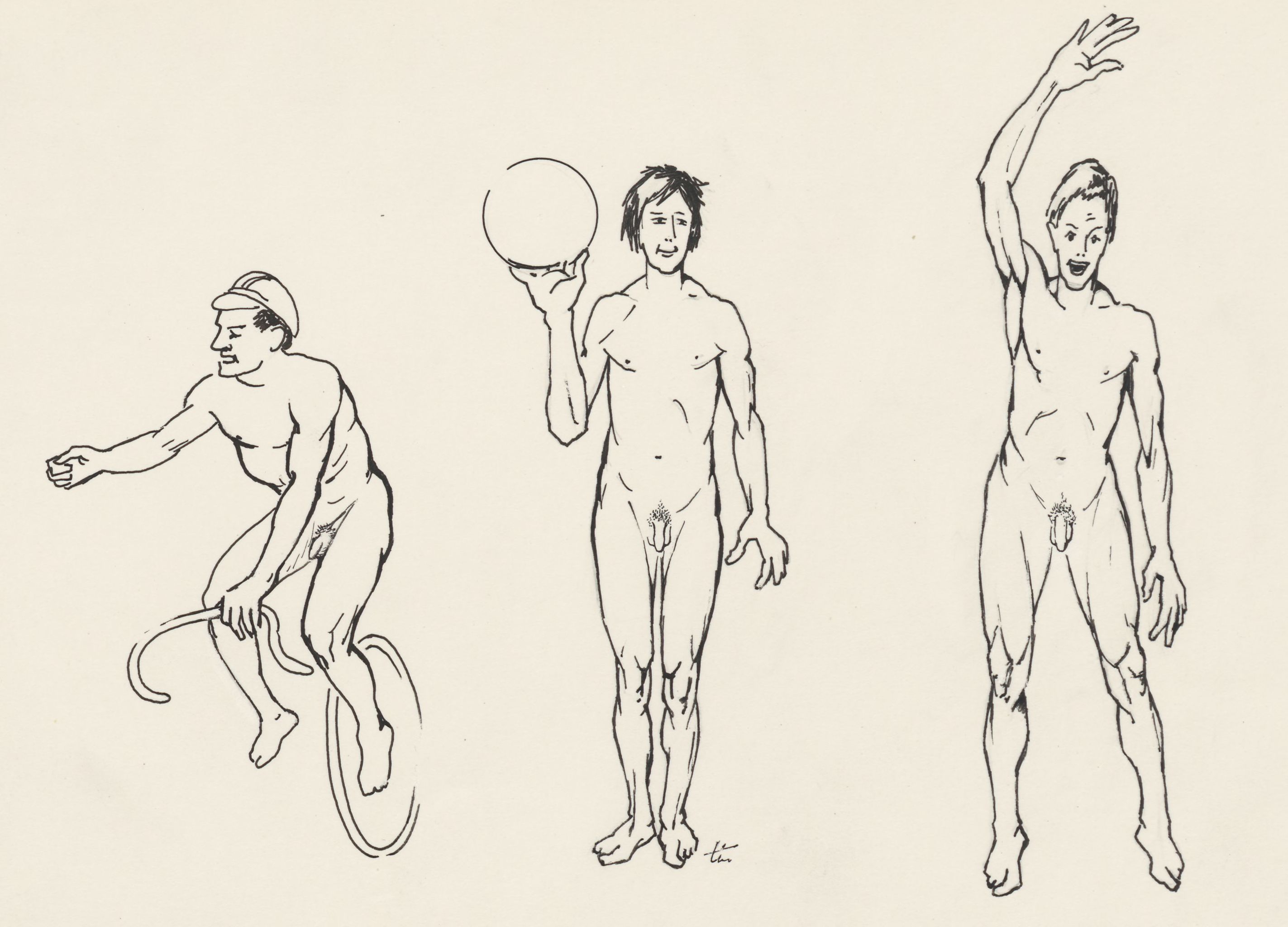 Three different physique types