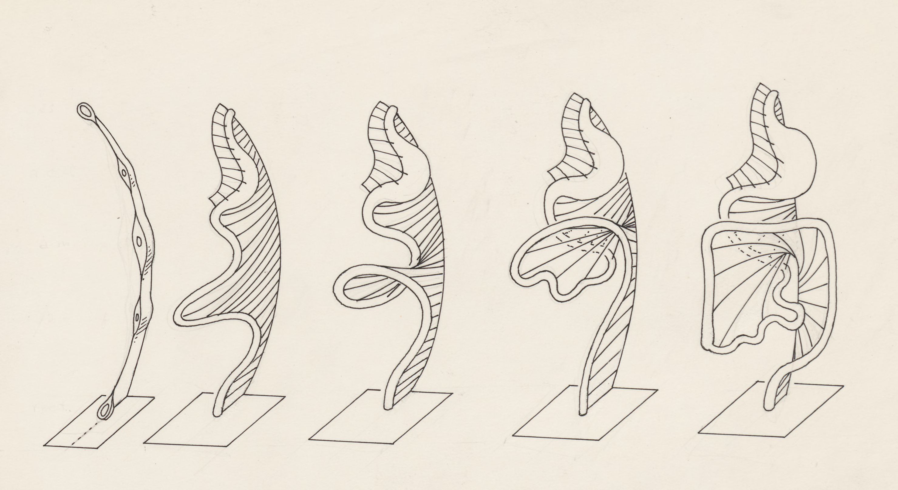 Five parts of the human embryo
