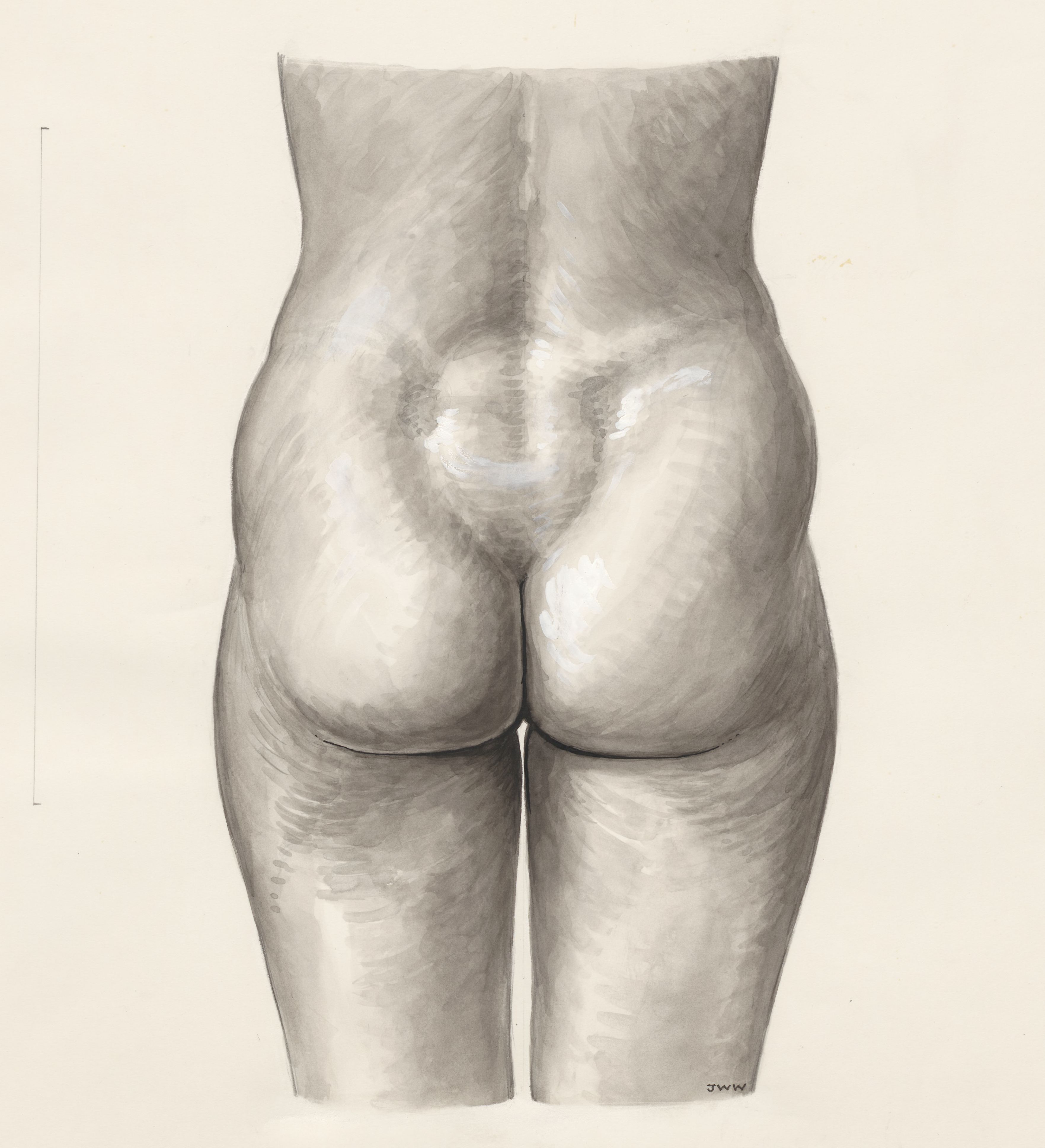 Female lower back and buttocks