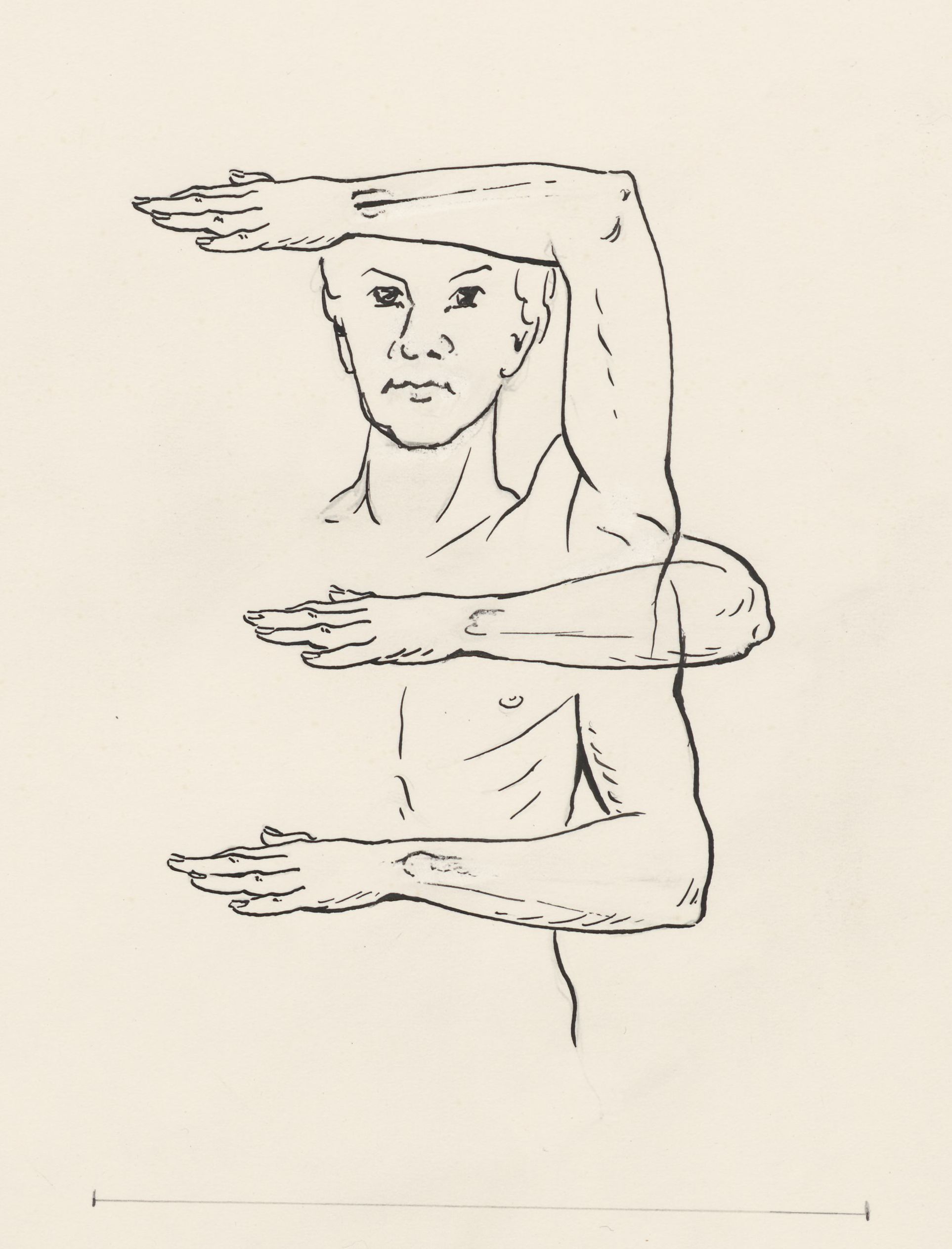 Movement of the male arm