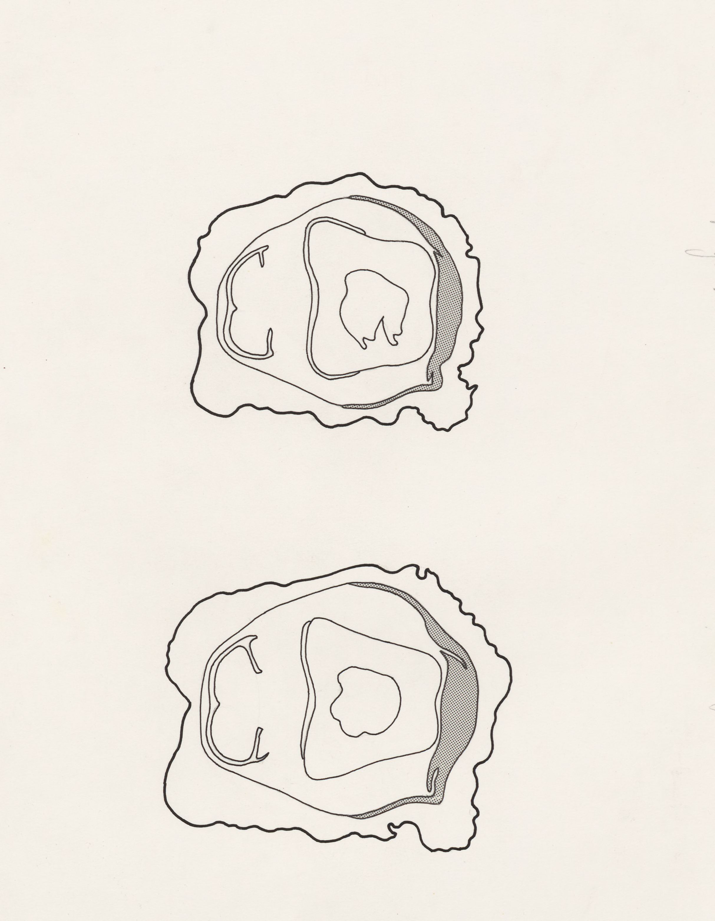 Schematic cross section of the fingers