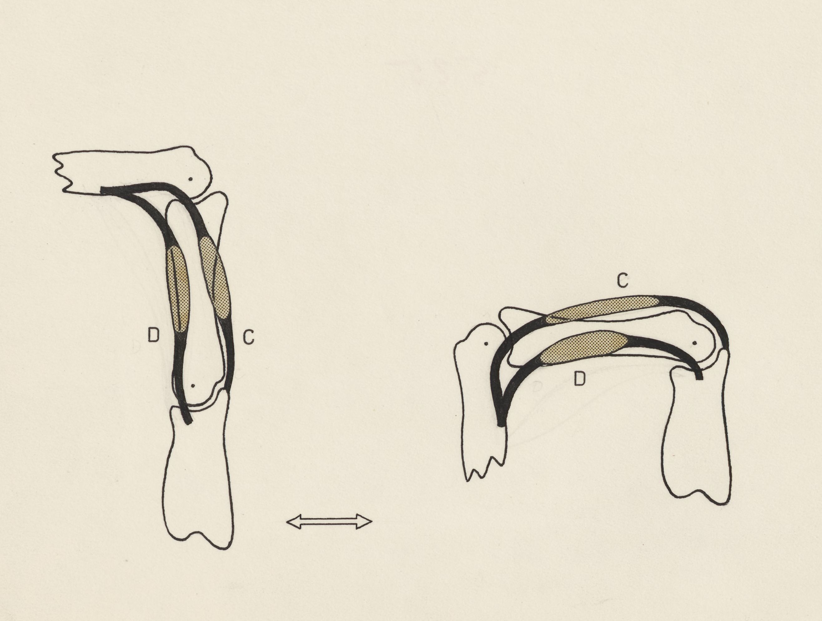 Schematic representation of the finger and joint movement