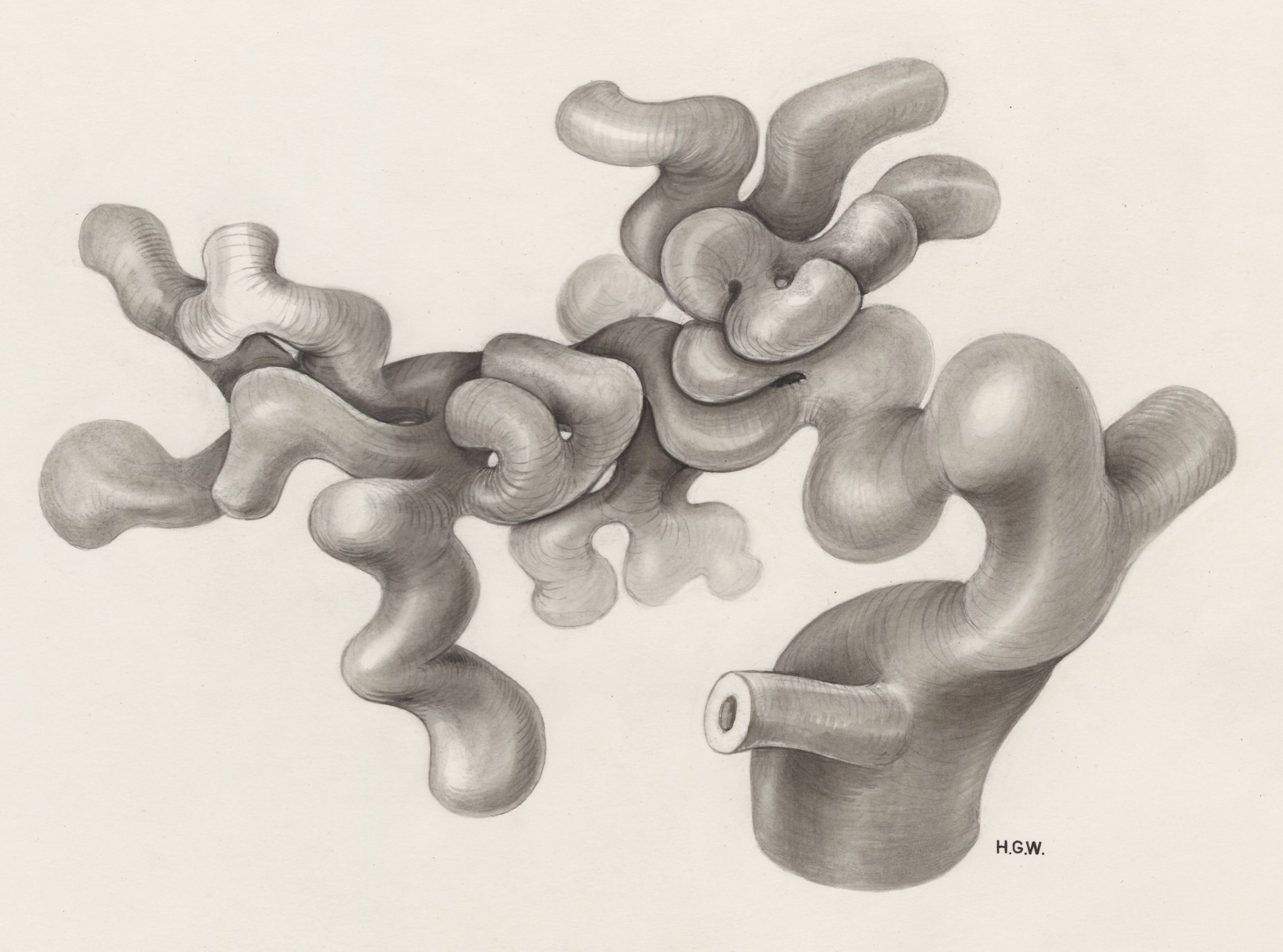Circulatory system