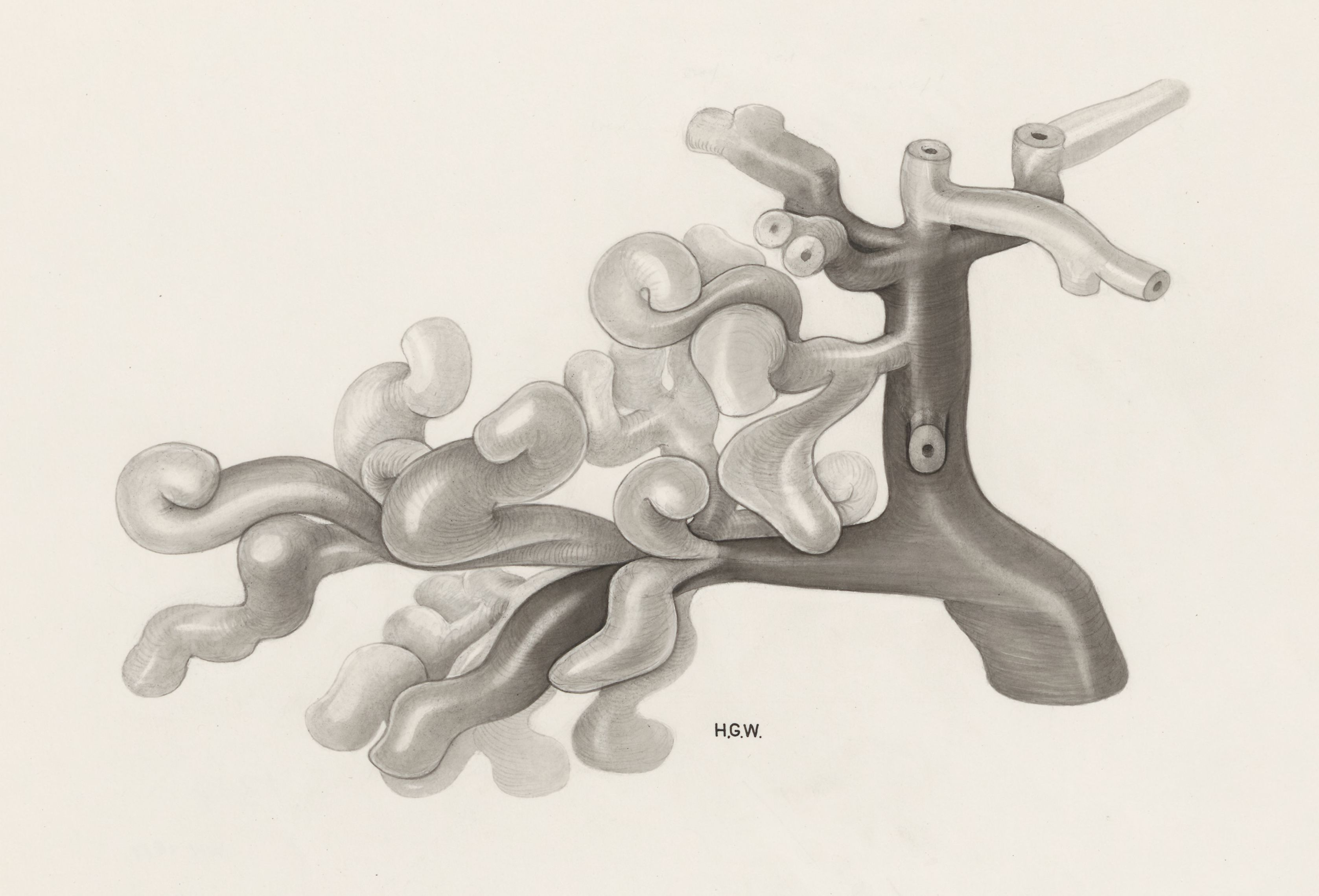 Circulatory system