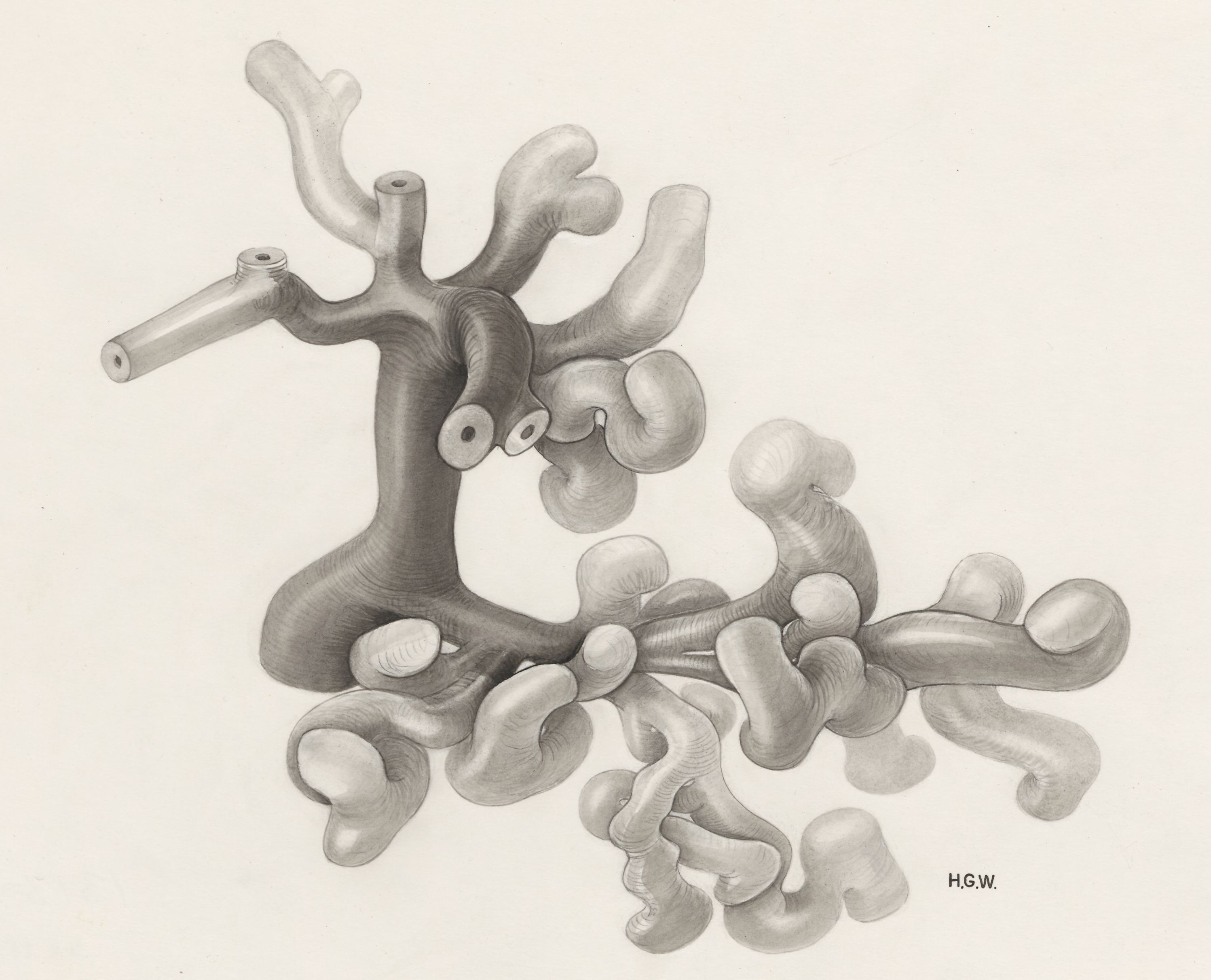 Circulatory system