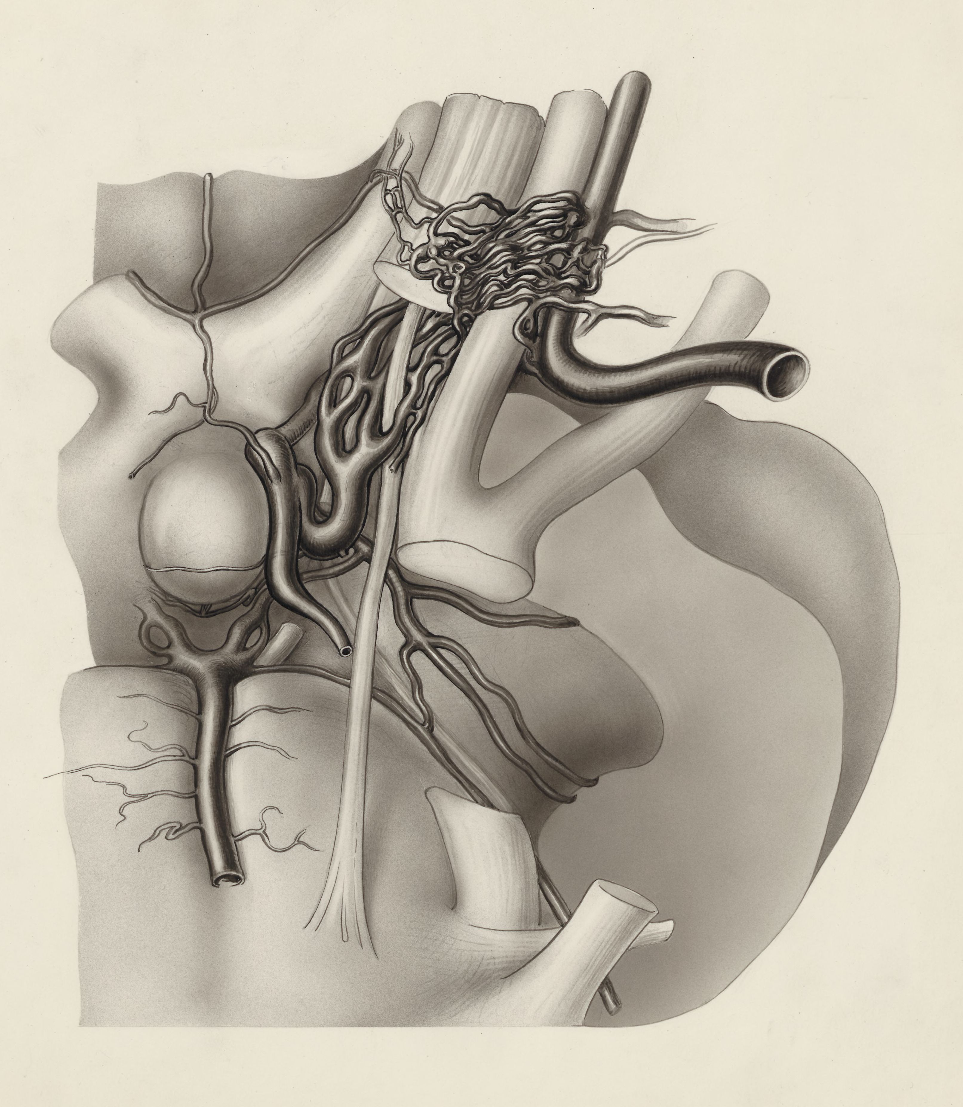 Nerves and other tissue of the neck and/or head