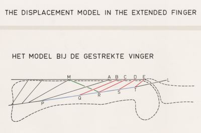 Unknown artist, Schematic representation of the finger