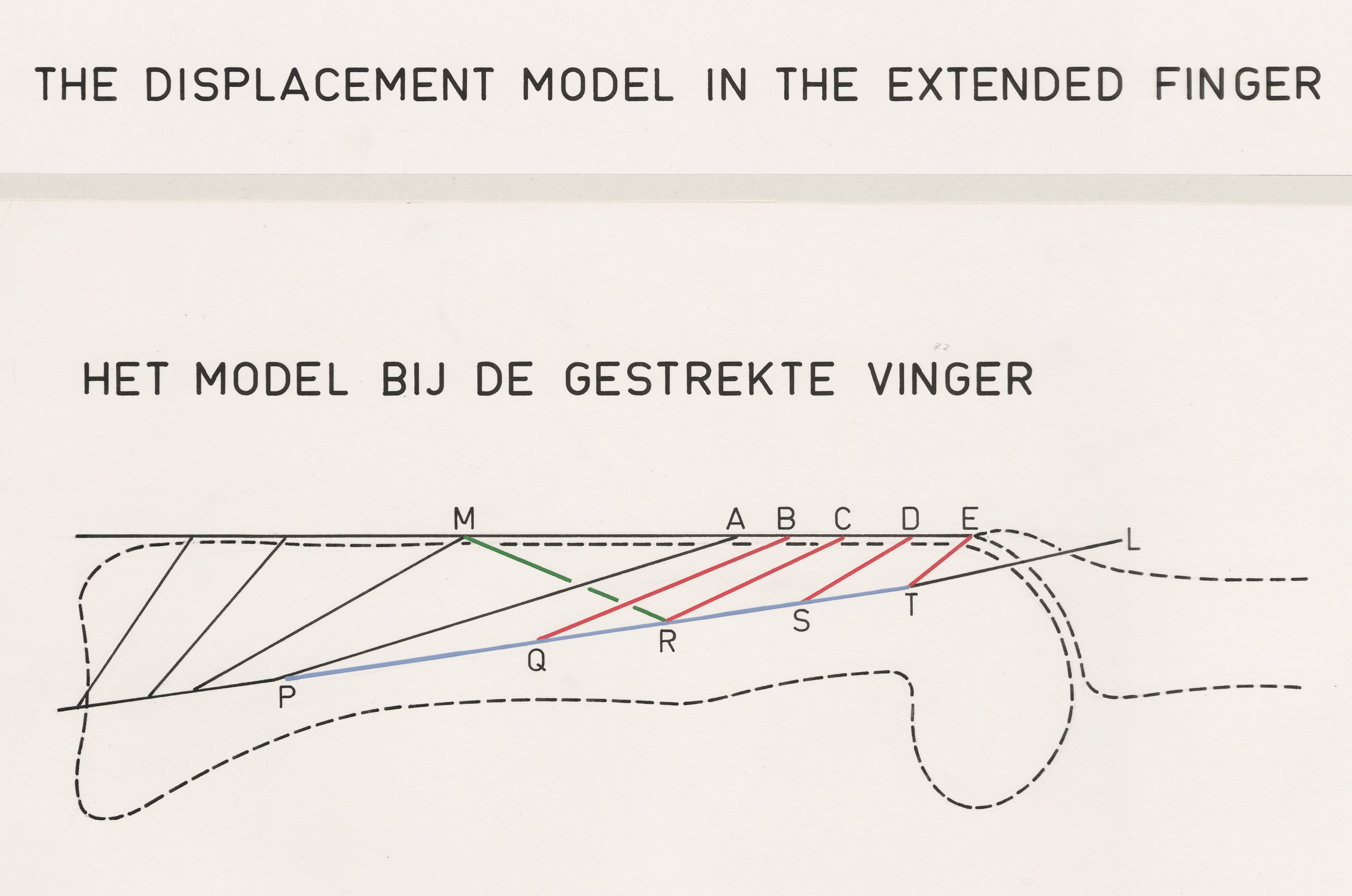 Unknown artist, Schematic representation of the finger