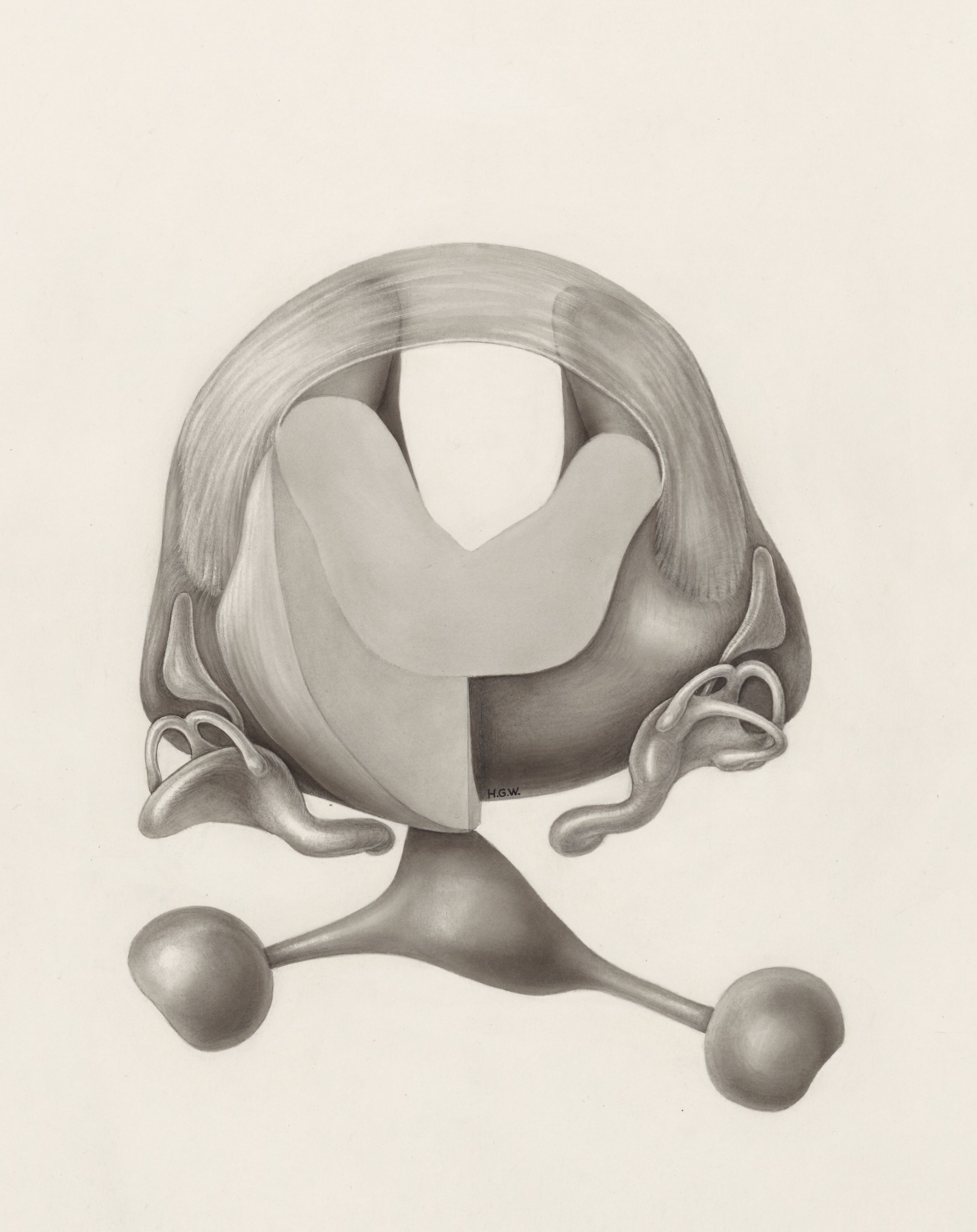 Hearing organ of an embryo