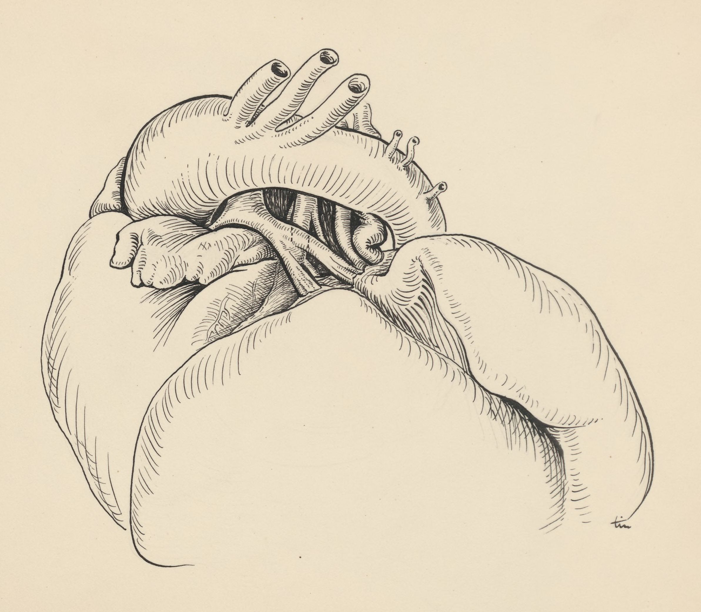 Heart