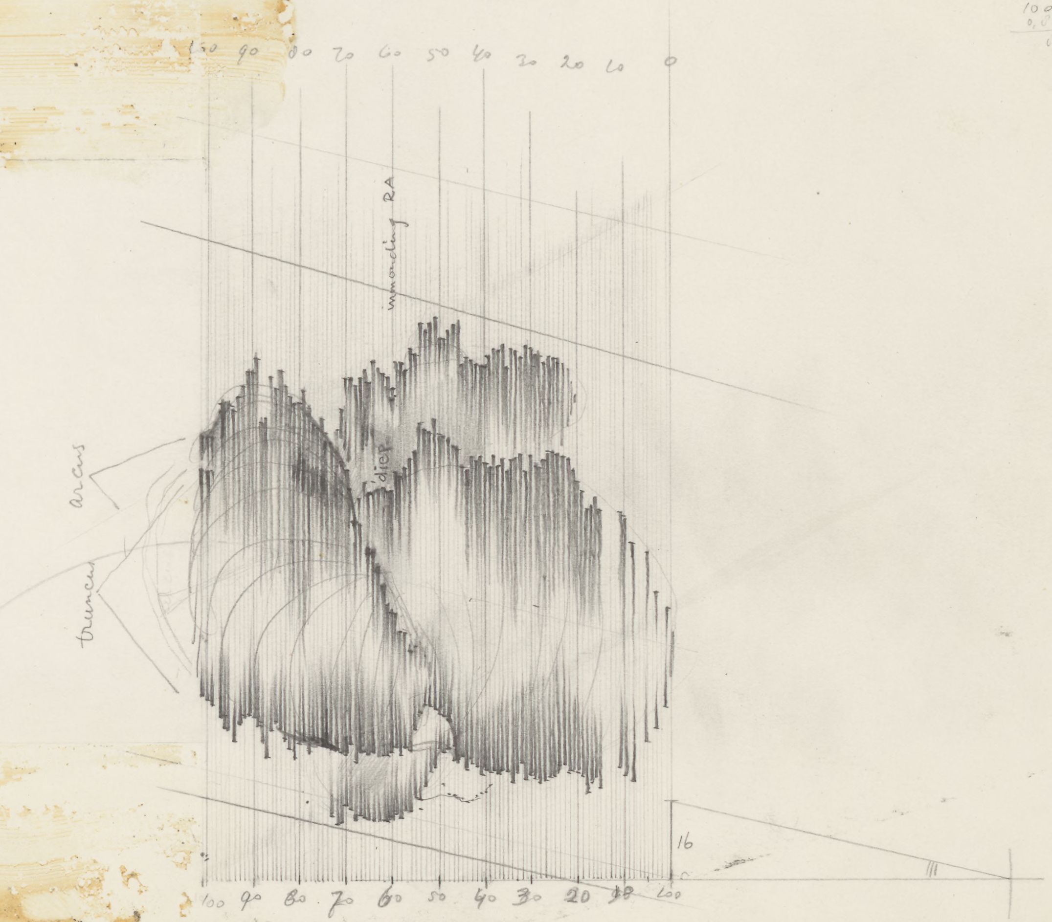 Embryonic heart