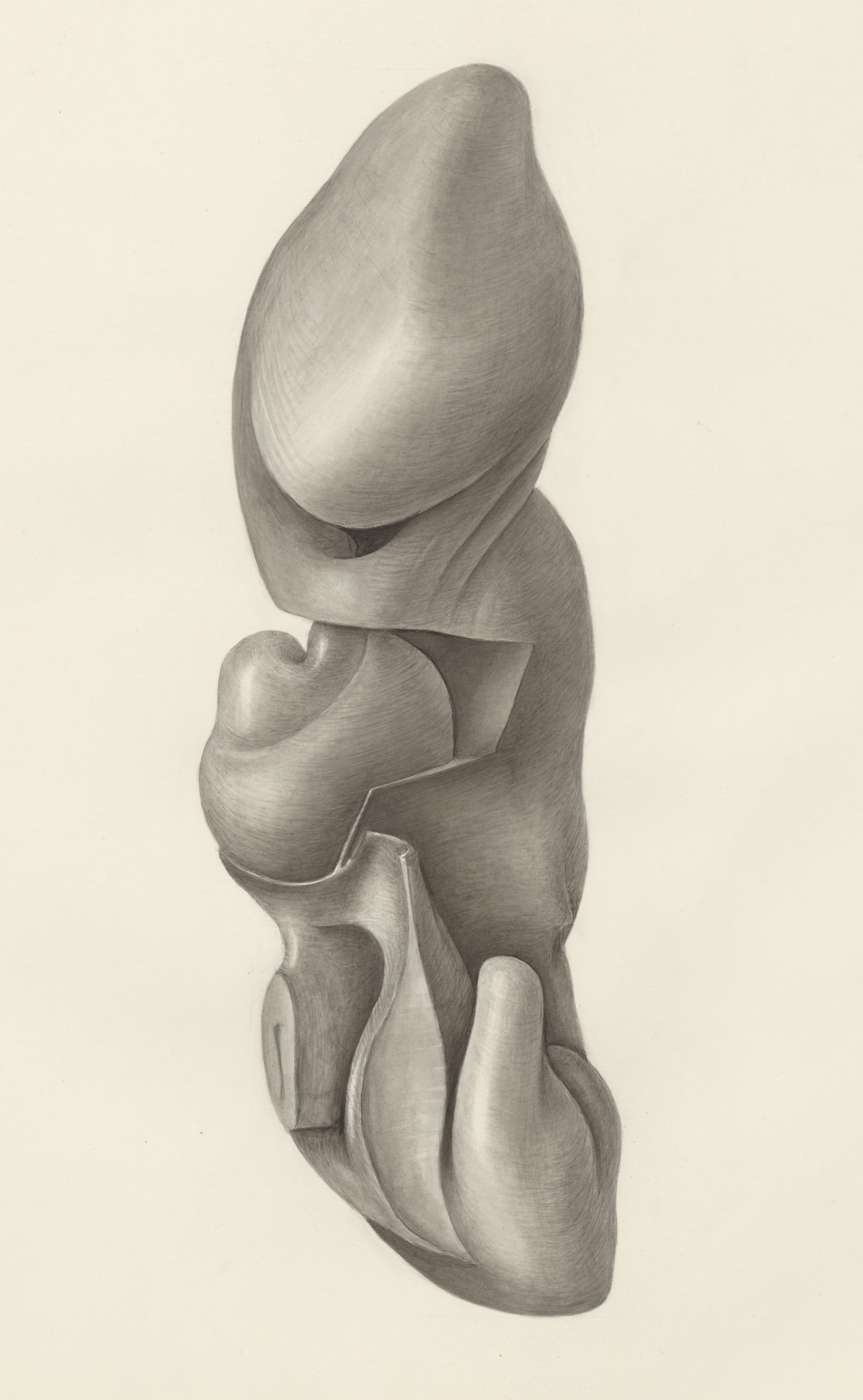 Human embryo